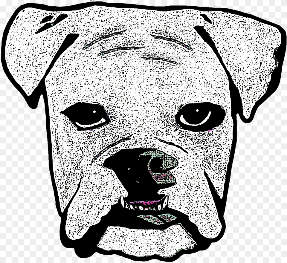 Boxer, Stencil, Person, Face, Head Png