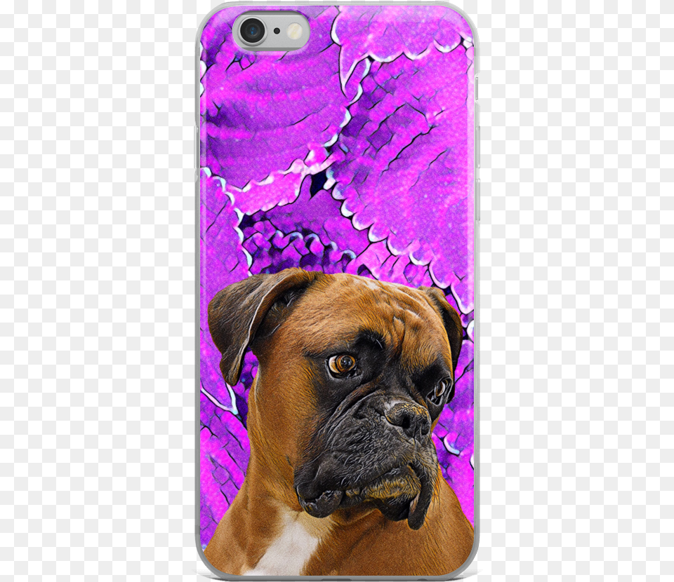 Boxer, Animal, Bulldog, Canine, Dog Png Image