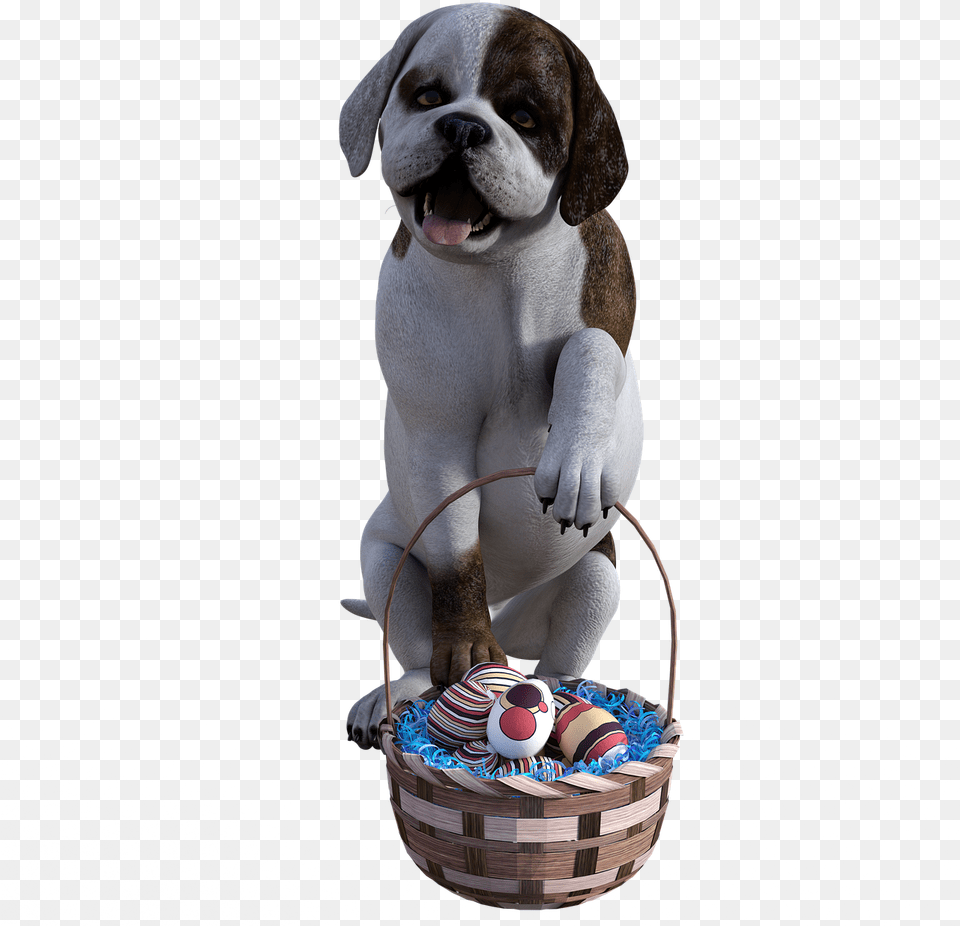 Boxer, Basket, Animal, Canine, Dog Free Transparent Png