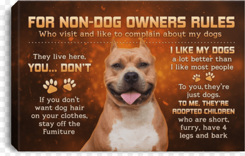 Boxer, Advertisement, Poster, Animal, Canine Free Transparent Png