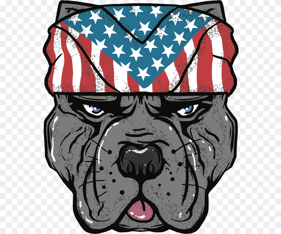 Boxer, Face, Head, Person, Art Free Transparent Png