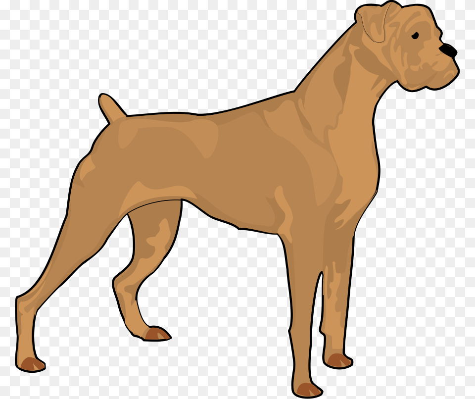 Boxer Clip Arts Download, Dog, Animal, Bulldog, Canine Free Png