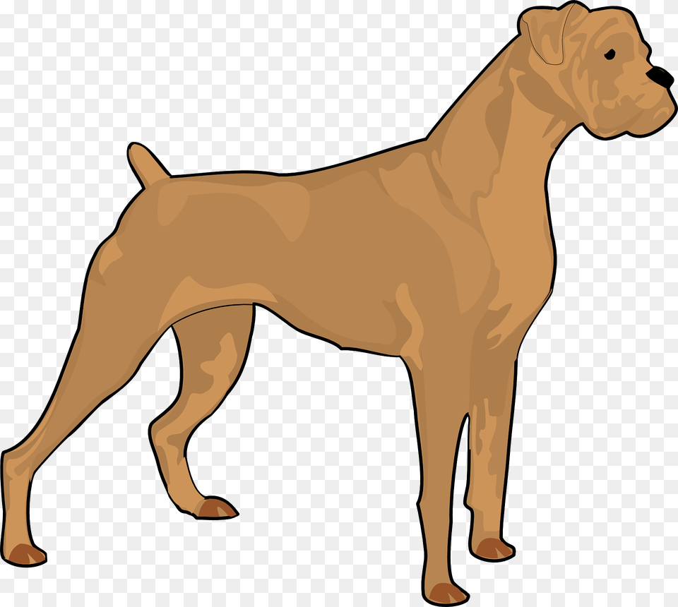 Boxer Clipart, Animal, Mammal, Canine, Dog Free Png Download
