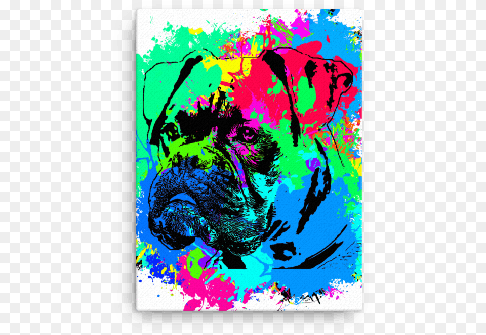 Boxer Colorful Splash Paint Canvas Illustration, Art, Graphics, Modern Art, Painting Free Png