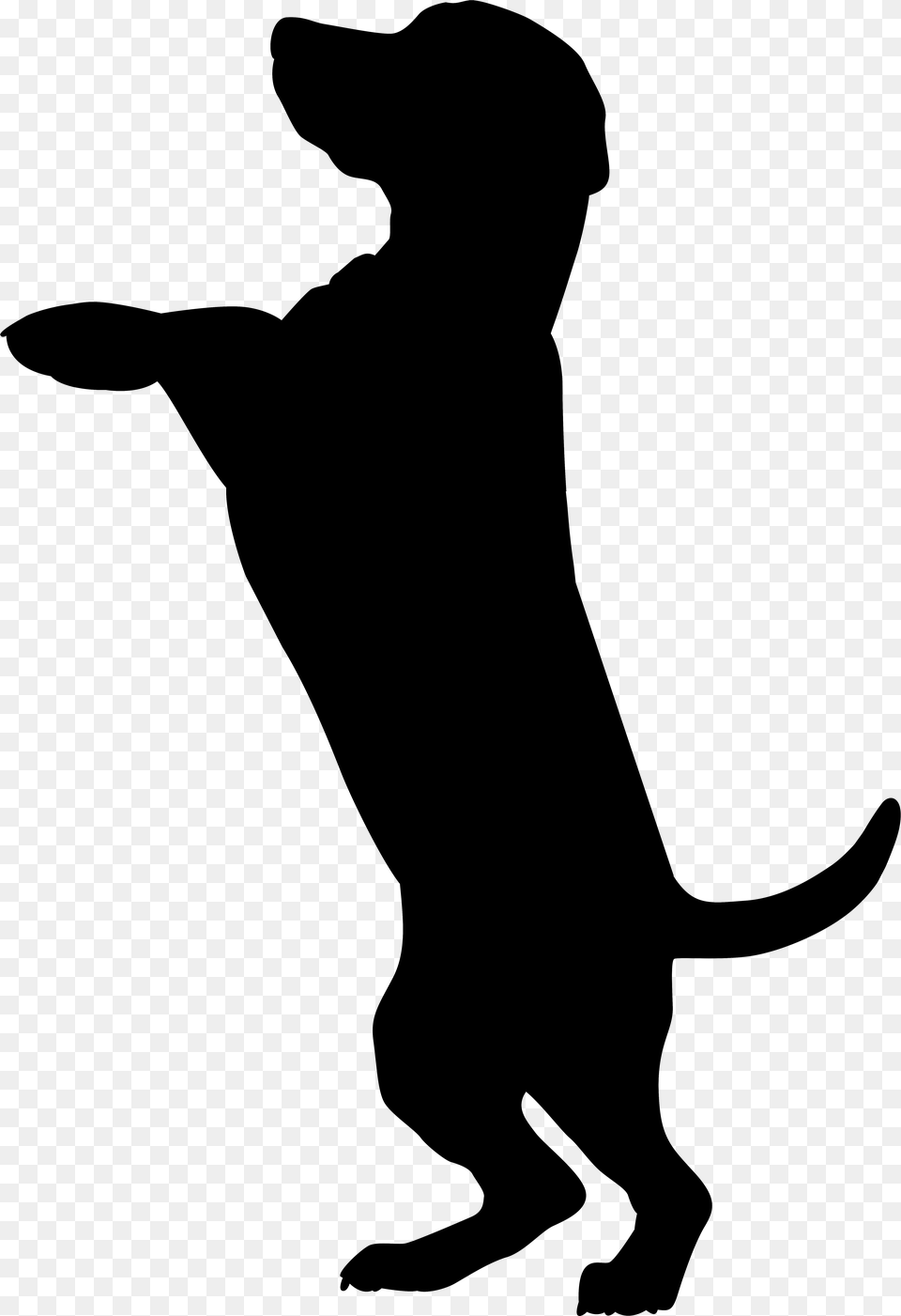 Boxer Dobermann Cat Pet Sitting Silhouette Transparent Background Dog Silhouette, Gray Png Image