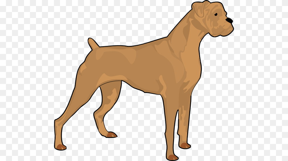 Boxer Dog Clipart Look, Animal, Canine, Mammal, Pet Free Transparent Png