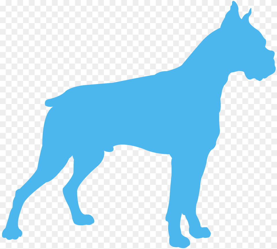 Boxer Dog Silhouette, Animal, Mammal, Horse, Pet Png