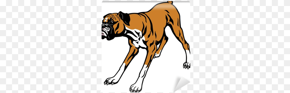Boxer Dog Vector, Animal, Bulldog, Canine, Mammal Png