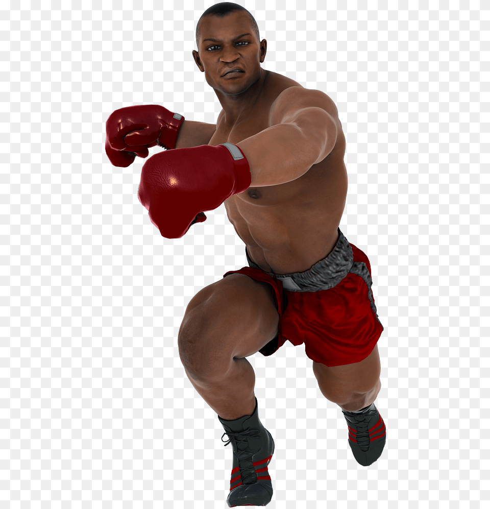 Boxer Fighter, Adult, Male, Man, Person Png