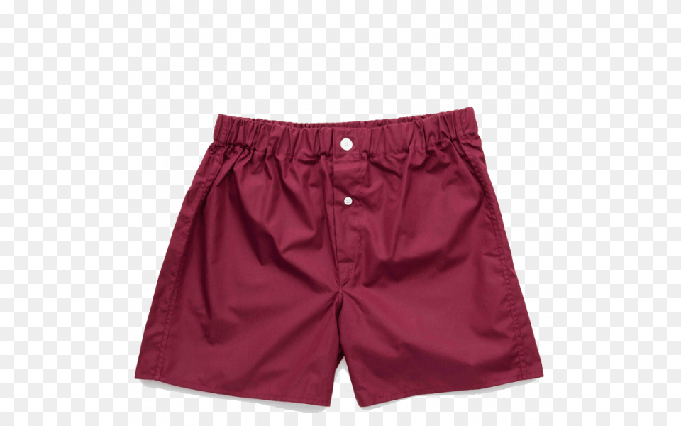 Boxer Shorts, Clothing, Swimming Trunks Png