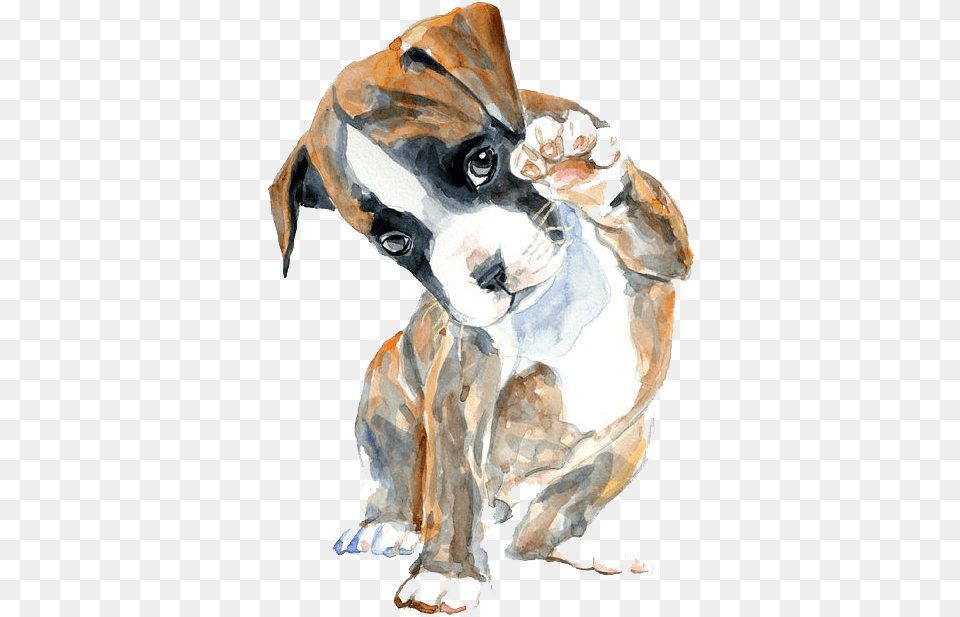 Boxer Watercolor Painting Oil Painting Drawing Cahoon39s Closet Cotton Amp Linen Dog Pillow Boxer, Animal, Bulldog, Canine, Mammal Png Image
