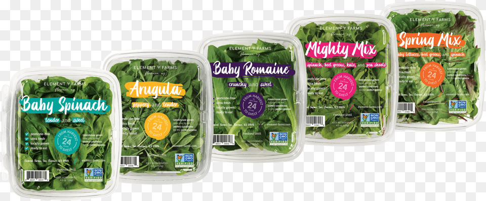 Boxes7 22, Food, Leafy Green Vegetable, Plant, Produce Free Transparent Png