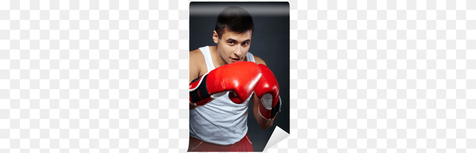 Boxing, Adult, Appliance, Blow Dryer, Device Free Transparent Png