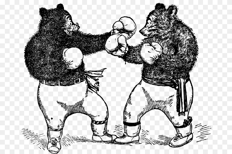 Boxing Bears, Gray Png Image