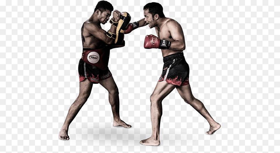 Boxing Evolve Vacation Boxing Glove, Adult, Male, Man, Person Free Transparent Png