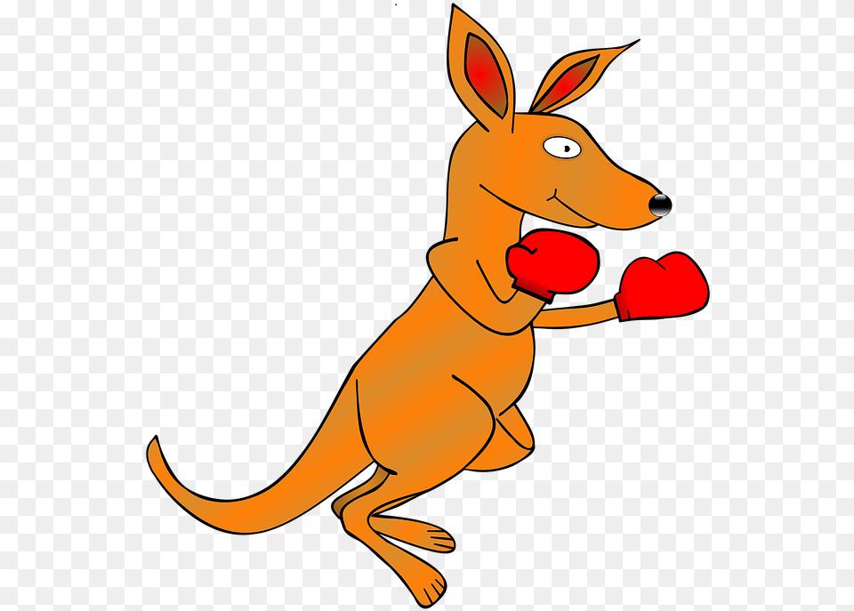 Boxing Kangaroo Clipart Transparent, Animal, Mammal, Bear, Wildlife Png