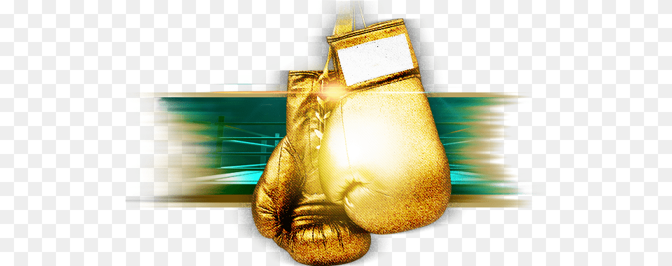Boxing Sa A Leading Sport Code In South Africa And Boxing, Clothing, Glove, Gold, Light Png