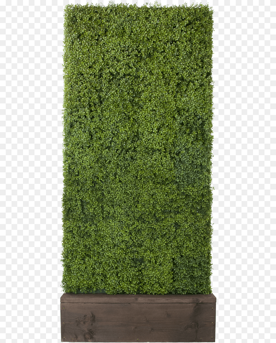 Boxwood Hedge Transparent Clipart Hedge, Fence, Plant Free Png Download