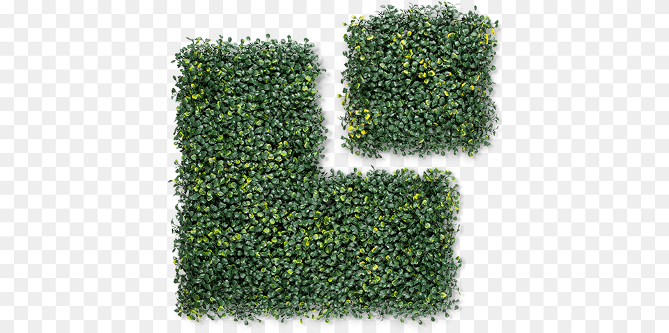 Boxwood Milan Artificial Hedge Grass, Fence, Plant, Vegetation, Leaf Free Transparent Png