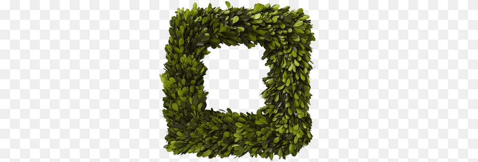 Boxwood Square Wreath Transparent Square Wreath, Banana, Food, Fruit, Plant Png