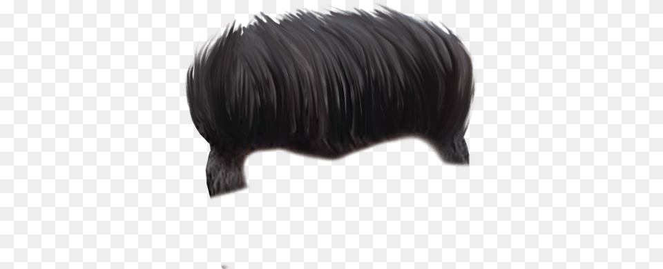 Boy Hair Hd, Animal, Pig, Mammal, Hog Png Image