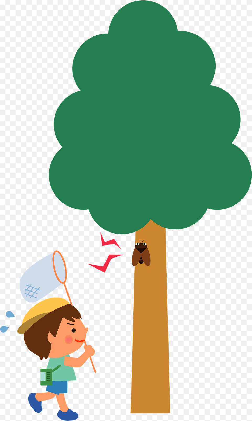 Boy Is Catching A Cicada Clipart, Baby, Person, Face, Head Free Transparent Png