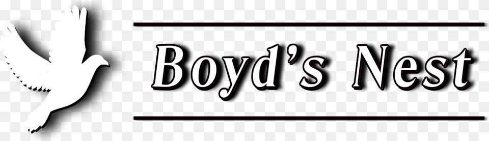 Boyds Nest White Doves Calligraphy, Animal, Bird, Pigeon, Dove Png