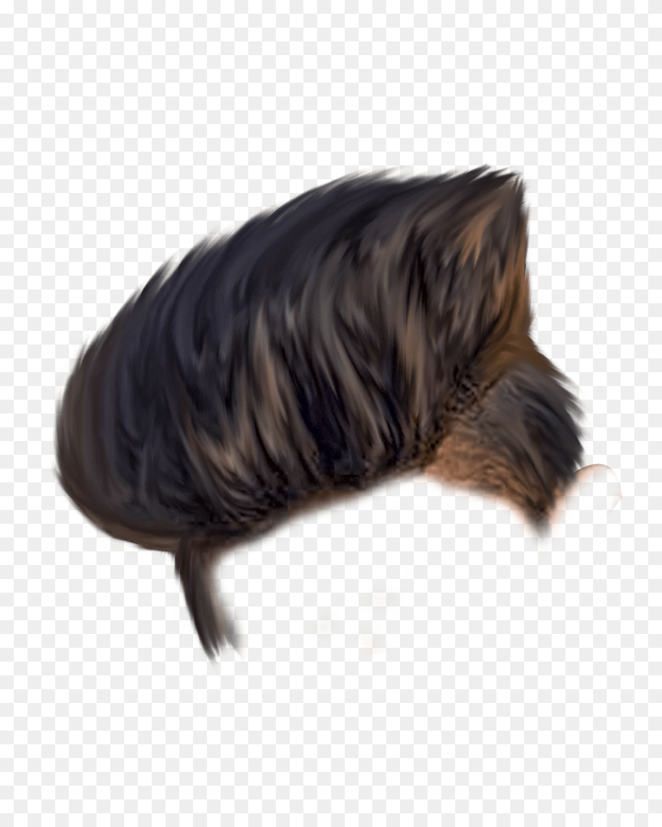 Boys Haircut Boy Hair Style, Animal, Mammal, Pet, Dog Png Image