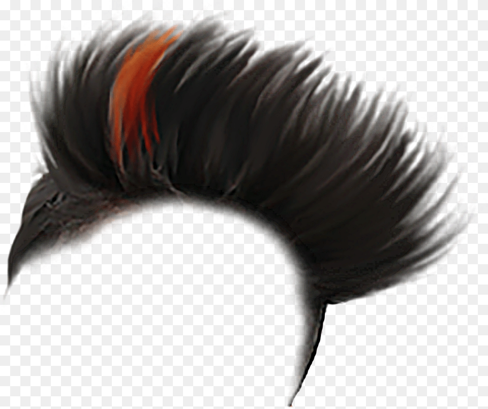Boys Haircut Image Hair Color Style Boy, Animal, Beak, Bird, Person Free Png Download