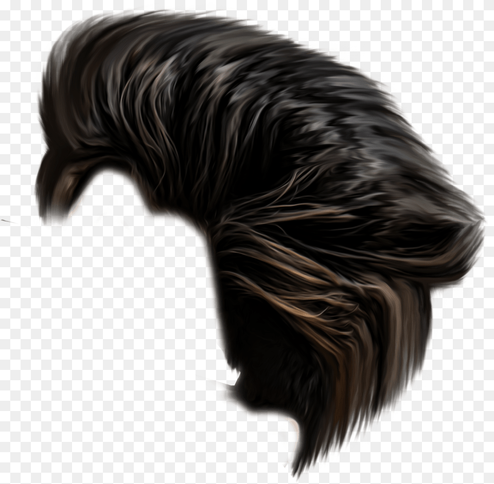 Boys Picart Boys Side Hair, Animal, Canine, Dog, Mammal Png