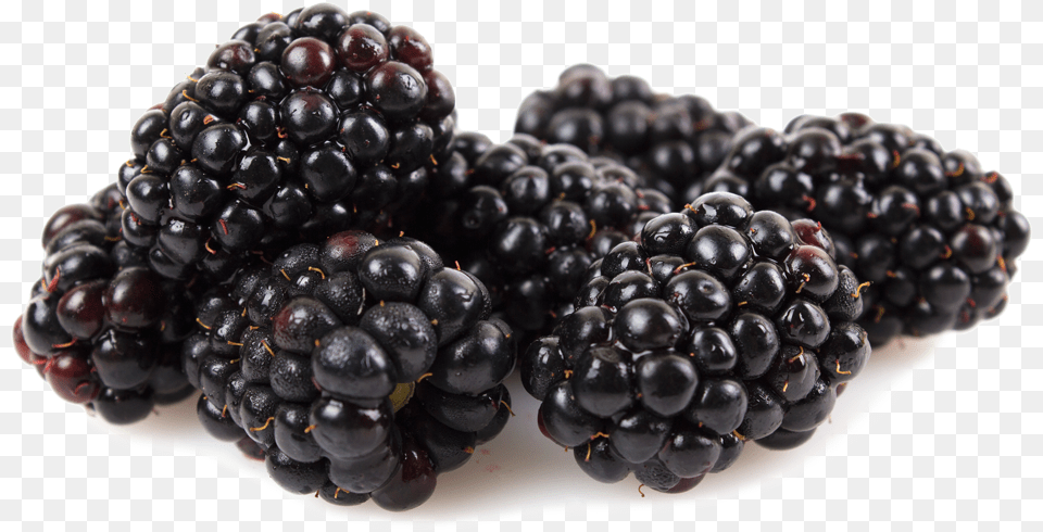 Boysenberry, Berry, Food, Fruit, Plant Png Image
