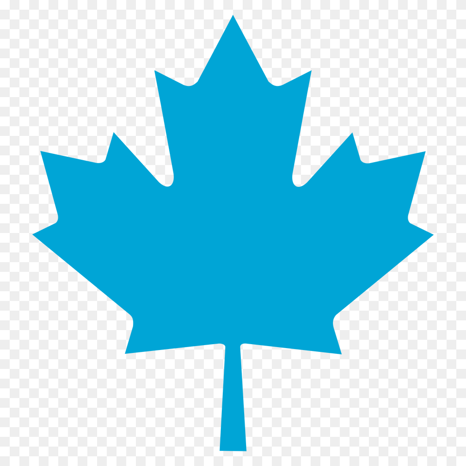 Bq Maple Leaf, Plant, Maple Leaf Free Png