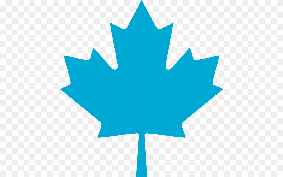 Bq Maple Leaf, Plant, Maple Leaf Free Png Download