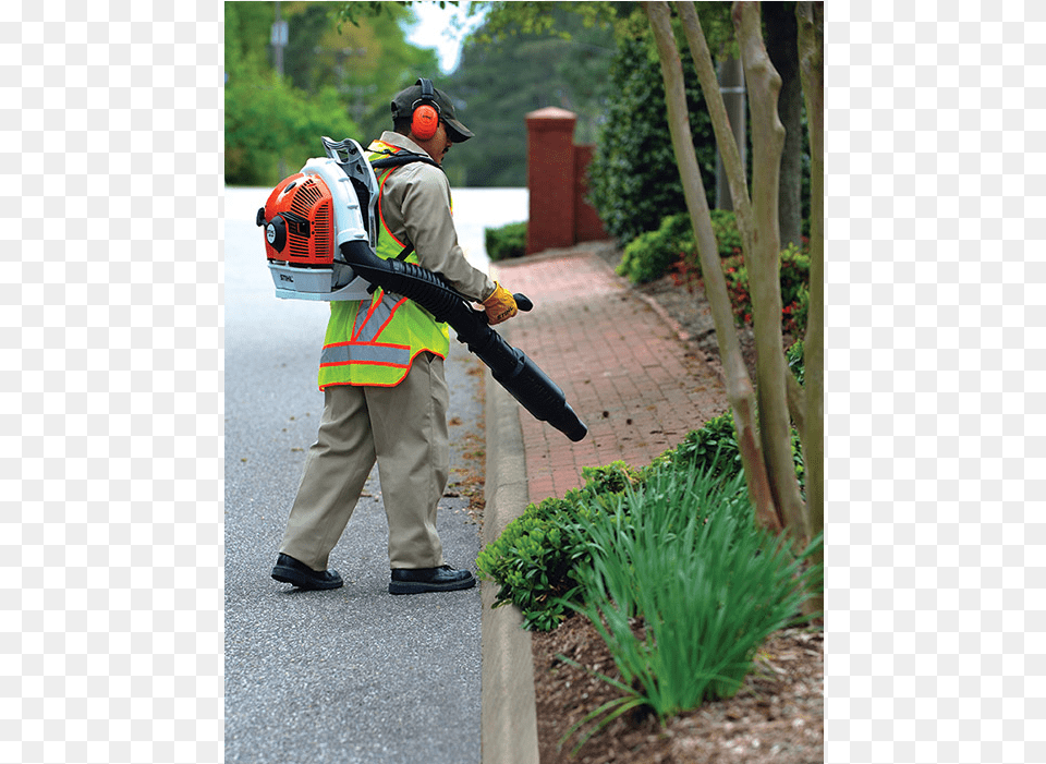 Br Mexican Ghostbuster, Plant, Garden, Grass, Outdoors Free Transparent Png