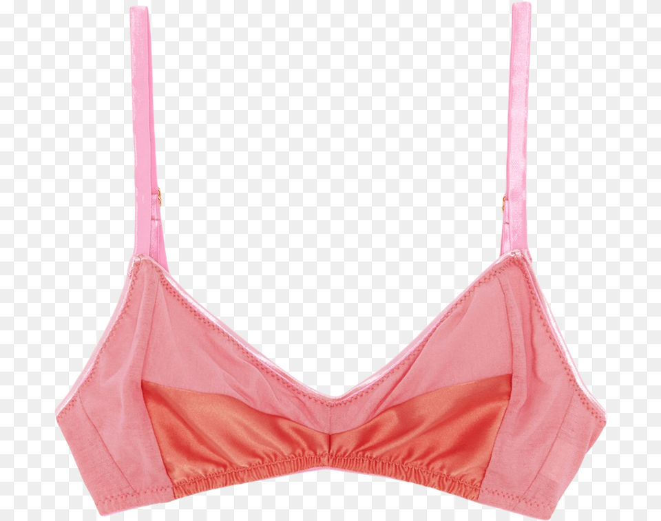 Bra, Clothing, Lingerie, Underwear, Accessories Free Png Download