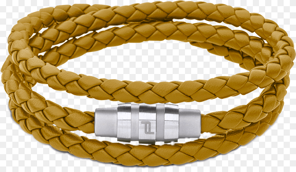 Bracelet, Accessories, Jewelry, Animal, Reptile Png Image