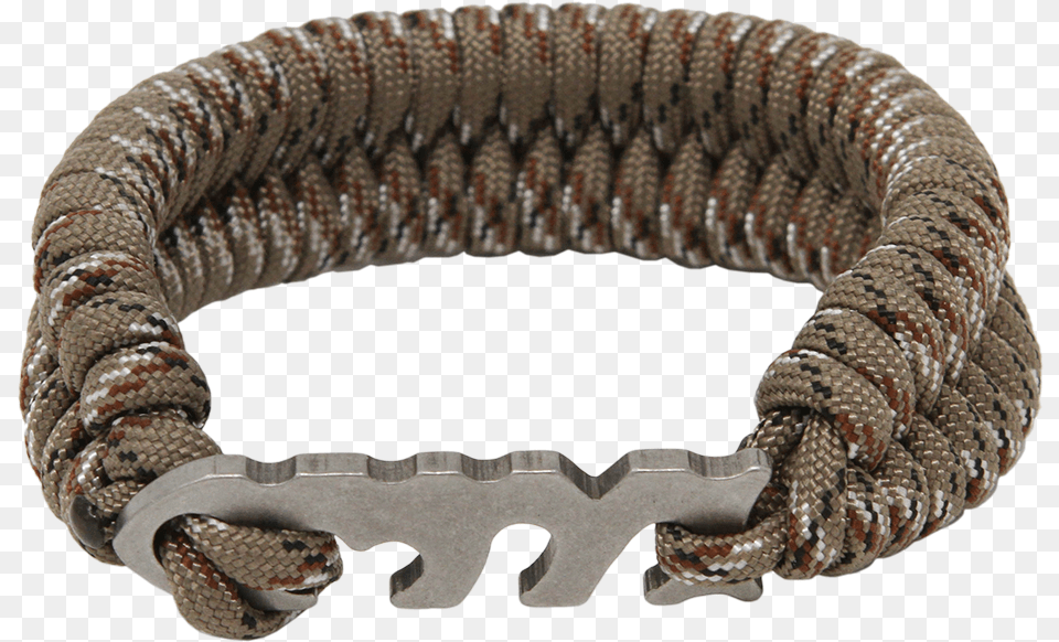 Bracelet, Accessories, Animal, Jewelry, Reptile Free Transparent Png