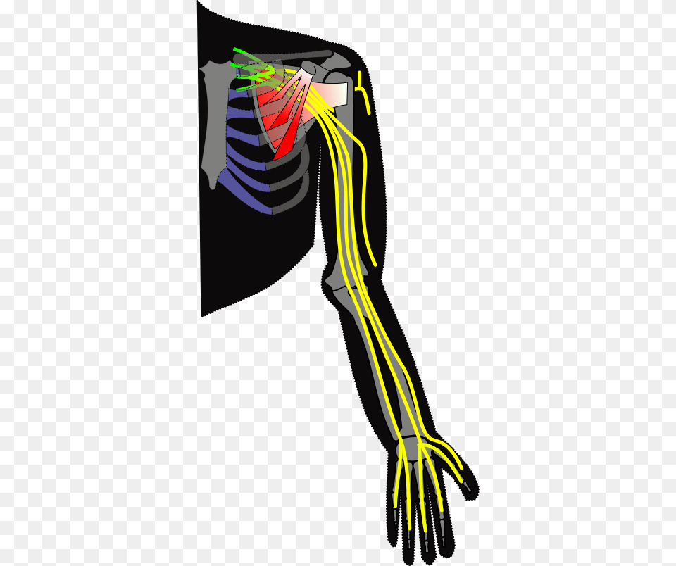 Brachial Plexus, Smoke Pipe Free Png