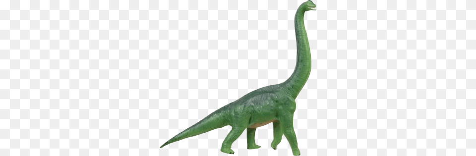 Brachiosaurus, Animal, Dinosaur, Reptile, T-rex Free Transparent Png