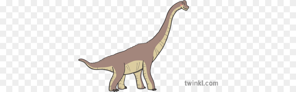 Brachiosaurus 2 Illustration Velociraptor, Animal, Dinosaur, Reptile, T-rex Free Png Download