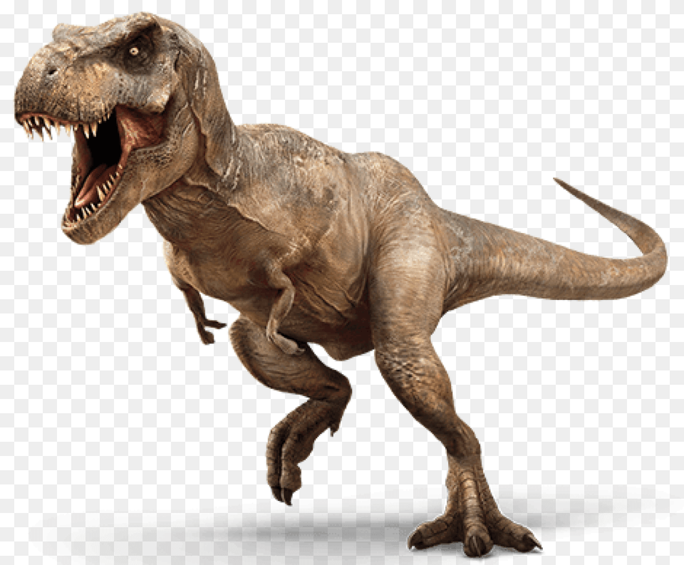Brachiosaurus Archives 6to16in, Animal, Dinosaur, Reptile, T-rex Free Png