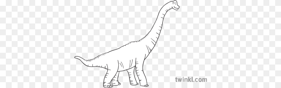 Brachiosaurus Black And White 2 Lesothosaurus, Animal, Dinosaur, Reptile, T-rex Free Transparent Png