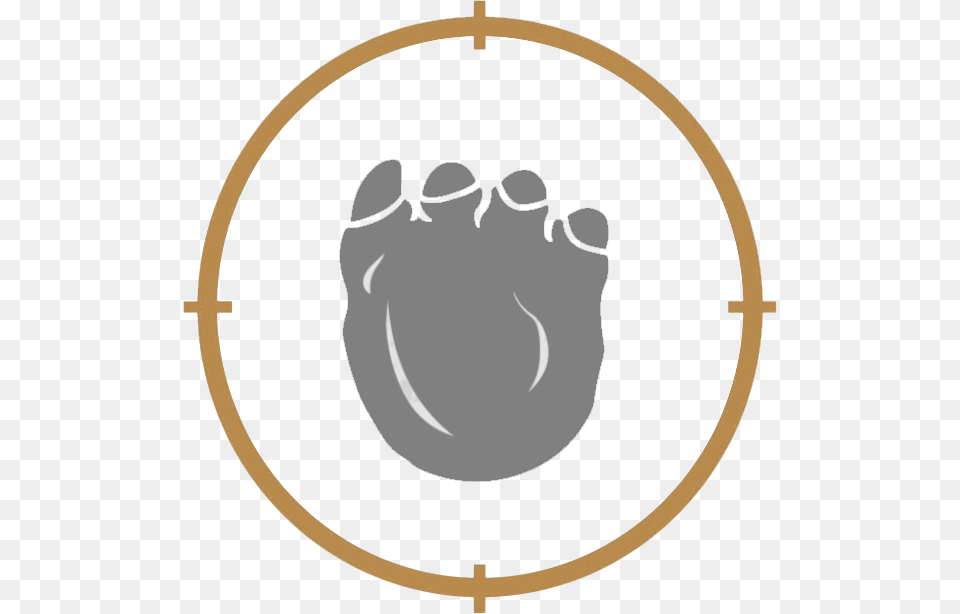 Brachiosaurus Brachiosaurus Footprints, Body Part, Hand, Person, Head Free Png Download