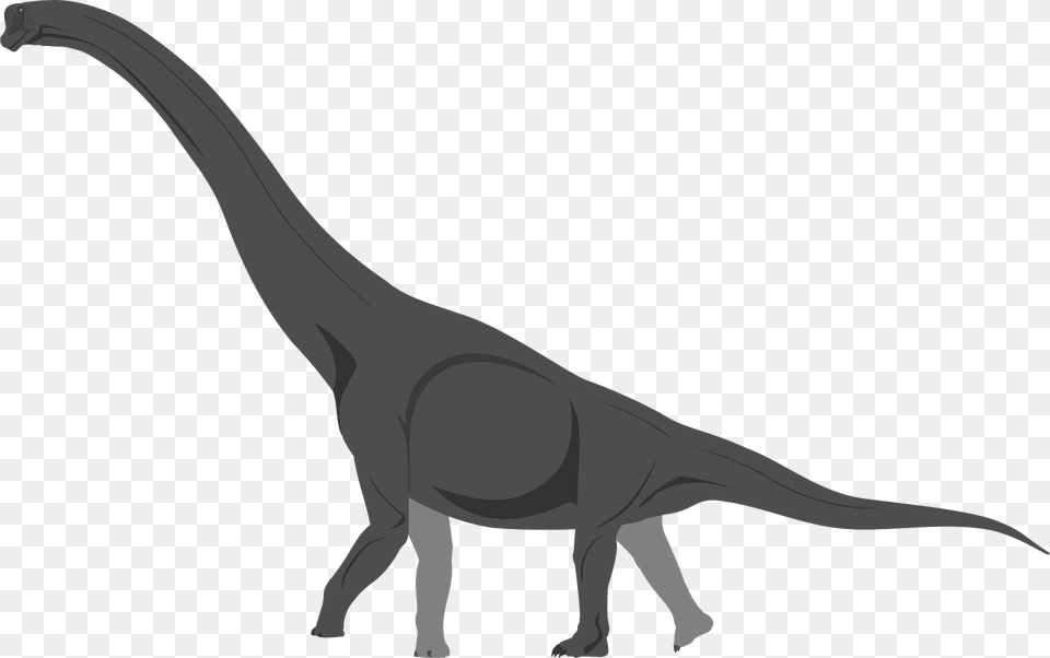 Brachiosaurus Clipart, Animal, Dinosaur, Reptile, T-rex Png Image