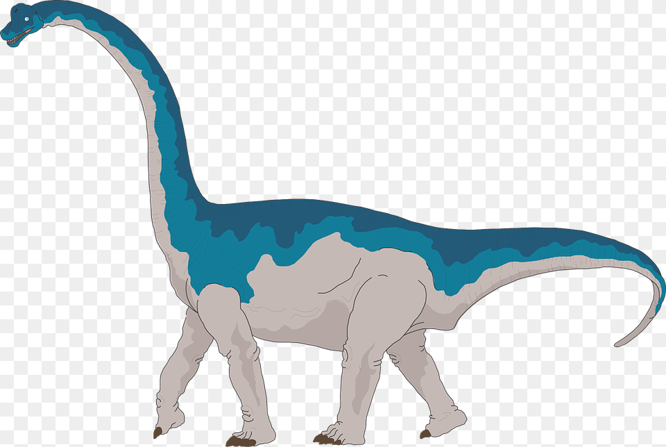 Brachiosaurus Clipart, Animal, Dinosaur, Reptile, T-rex Png Image