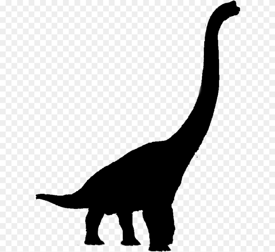 Brachiosaurus Clipart, Gray Free Png Download