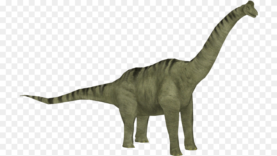 Brachiosaurus Clipart Brachiosaurus Jurassic Park, Animal, Dinosaur, Reptile, T-rex Free Png