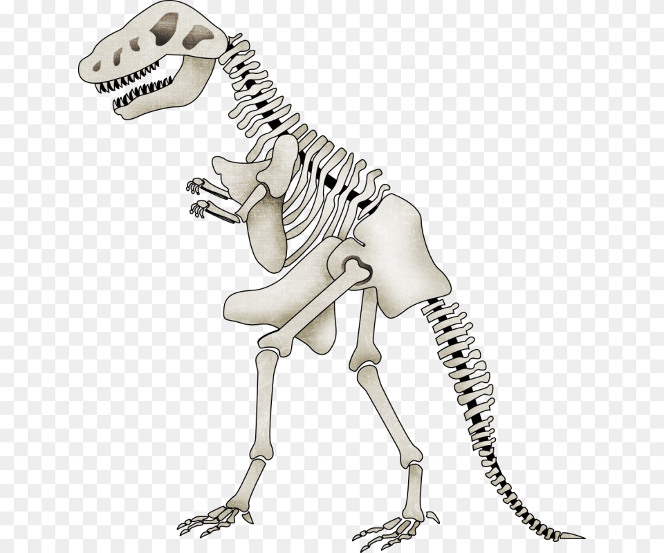 Brachiosaurus Clipart Skeleton Cartoon Dinosaur Skeleton With Transparent Background, Animal, Reptile Free Png