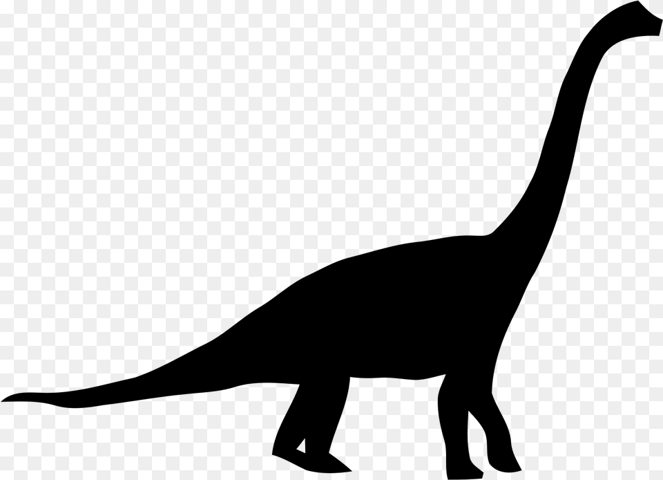 Brachiosaurus Clipart Svg Long Neck Dinosaur Silhouette, Gray Free Transparent Png