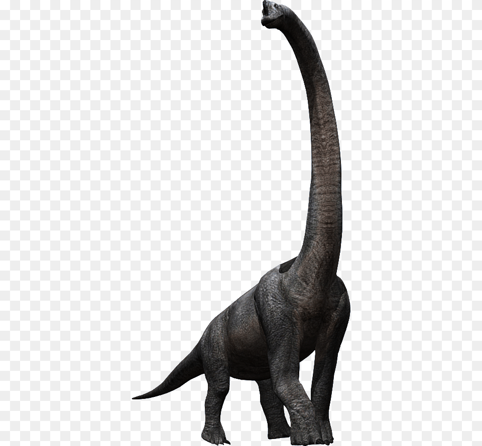 Brachiosaurus Dinosaurs Prehistoric Mammals And Other, Animal, Dinosaur, Reptile, T-rex Free Png Download